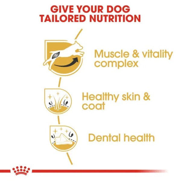 Royal Canin Jack Russell Terrier Adult - Пълноценна суха храна за джак ръсел 1.5 кг